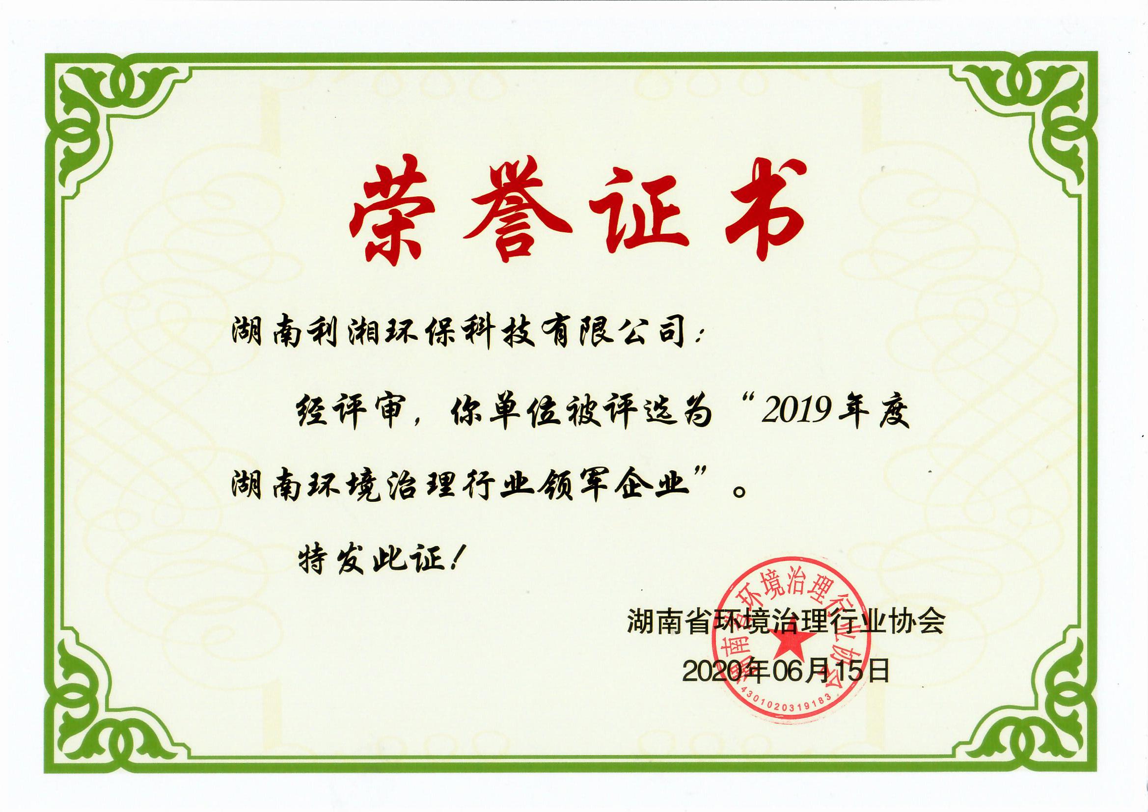 2019年度湖南环境治理行业领军行业